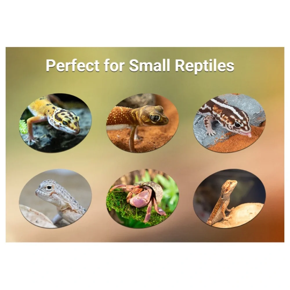3-in-1 Reptile Hide Cave w/Detachable Base & Humidity Dish - 6.4 x 6 x 3.5” NIB